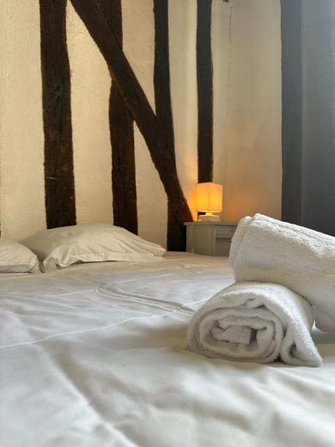 Gîtes Place Plumereau de Tours Apartment in Tours