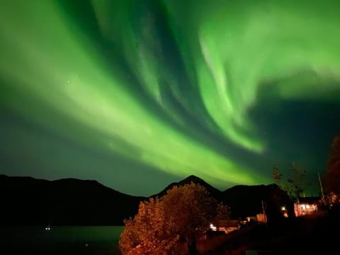 FERRYtale, cozy, spacious house on Senja House in Nordland, Norway