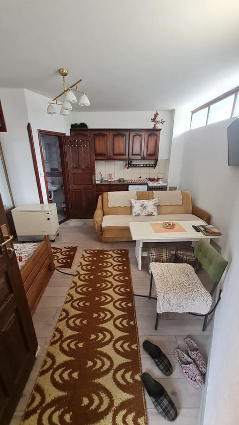Angelina Apartment in Zlatibor District, Serbia