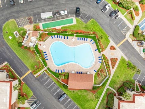 Bird's eye view, Pool view, Location, sunbed