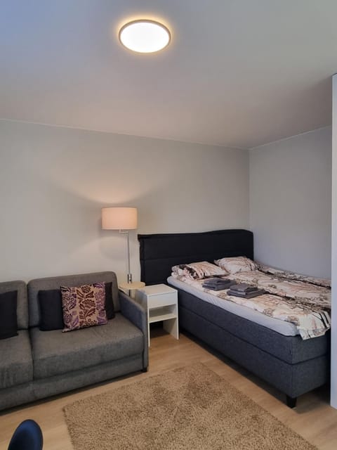 Kompakti yksiö numero 4 pienkerrostalossa Apartment in Finland