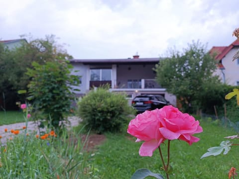 Property building, Garden, Garden, Parking
