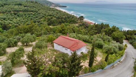 Natural landscape, Bird's eye view