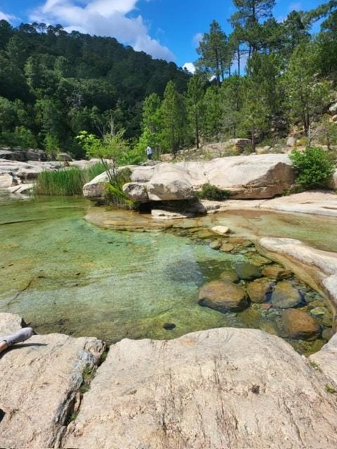 BandB les rosiers - chambre Garance Bed and Breakfast in Zonza