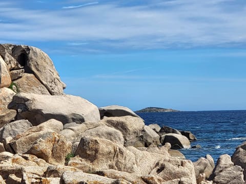 BandB les rosiers - chambre Garance Bed and Breakfast in Zonza