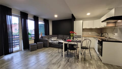 Kitchen or kitchenette, Living room, Seating area, Dining area, oven, stove