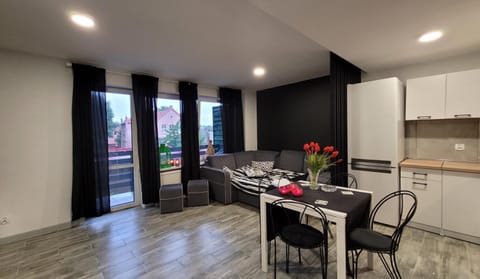 Kitchen or kitchenette, Living room, Seating area, Dining area