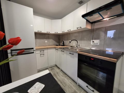 Kitchen or kitchenette, oven, stove
