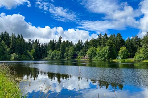 Leisure Lakehouse House in Washington