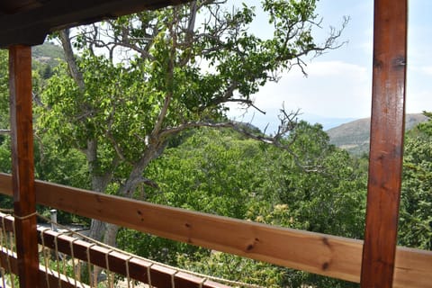 Cottage House House in Thasos