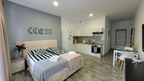 Bed, Kitchen or kitchenette, Living room, Photo of the whole room, Seating area, Dining area, Bedroom, oven, stove