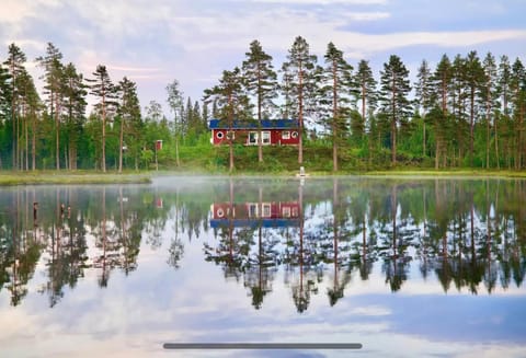 Natural landscape