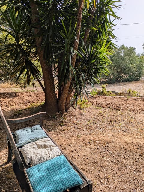 Maison de campagne Villa in Bonifacio