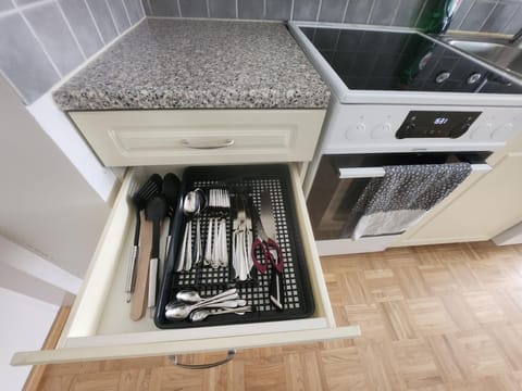 Kodikas huoneisto, siivouspalvelulla Apartment in Finland