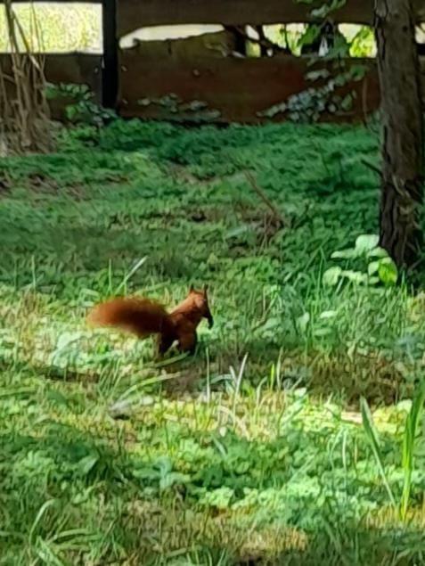 Zapach Lasu domek nad jeziorem Chalet in Pomeranian Voivodeship