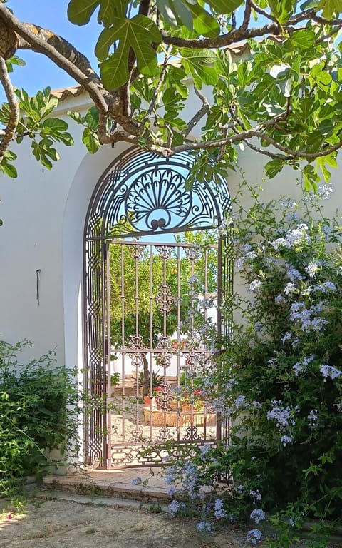 Spring, Garden, Garden view