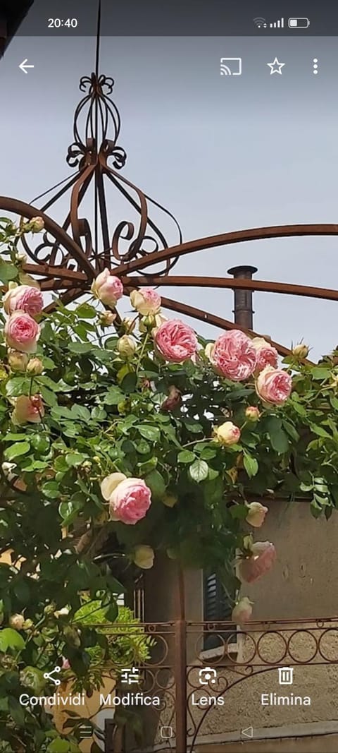 Suite vista panoramica giardino e montagne Apartment in Bellagio