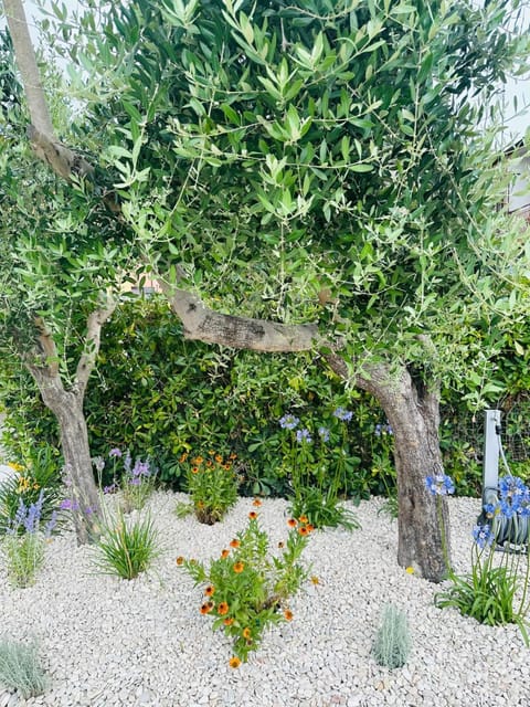 Appartamento Sole Apartment in Marcelli