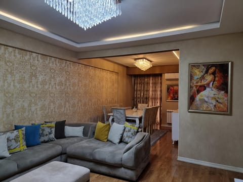 Living room, Photo of the whole room, Seating area