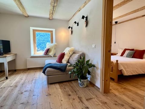 Stella Alpina - Romantic getaway Apartment in Pie' Falcade