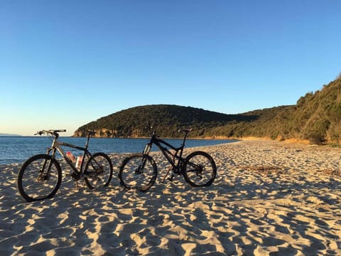 Maremma Toscana Apartment Apartment in Manciano