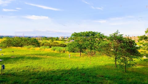 Spring, Day, Natural landscape, Garden, Garden, Garden view