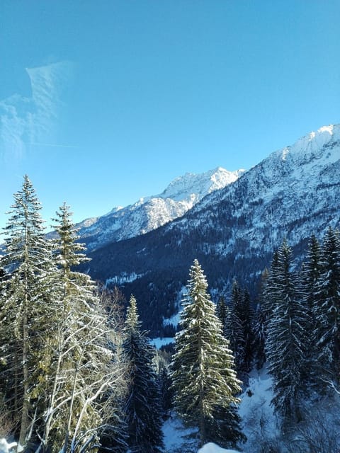 Monolocale nel cuore delle Alpi Apartment in Province of Brescia