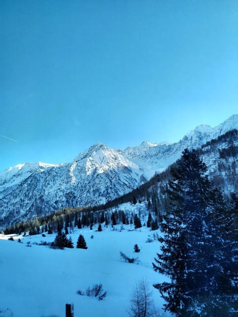 Monolocale nel cuore delle Alpi Apartment in Province of Brescia