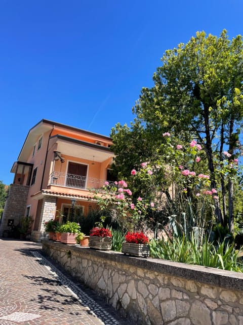 Property building, Garden view