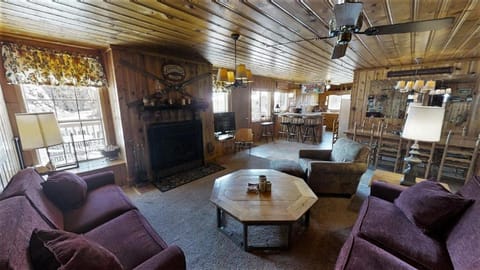 Day, Kitchen or kitchenette, Living room, Seating area, Dining area, fireplace, furniture