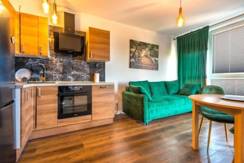 Kitchen or kitchenette, Living room, Seating area, Dining area, dishwasher, oven, stove