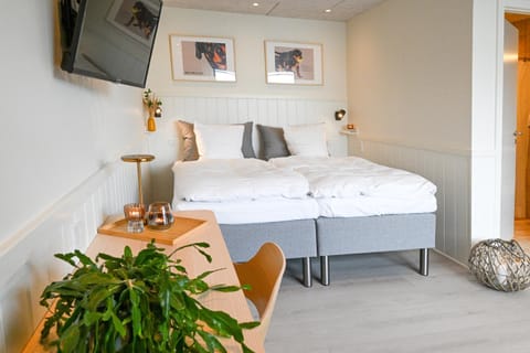 Bed, TV and multimedia, Photo of the whole room