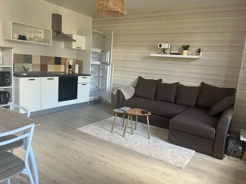 Kitchen or kitchenette, Living room, Seating area, Dining area, oven, stove