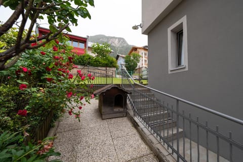 Property building, Garden view