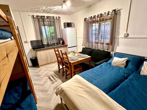 Bed, Kitchen or kitchenette, Living room, Dining area, Bedroom