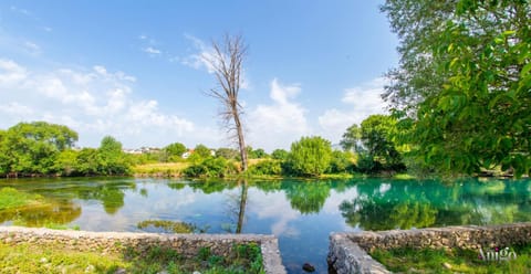 Natural landscape, River view