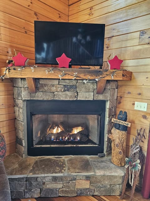 Cardinal Treehouse House in Fontana Lake