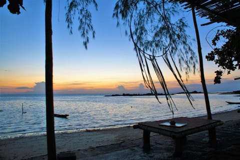Beach, Sunset