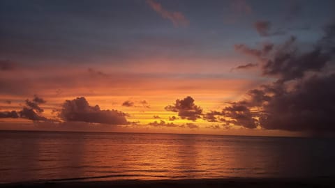 Natural landscape, Beach, Sunset