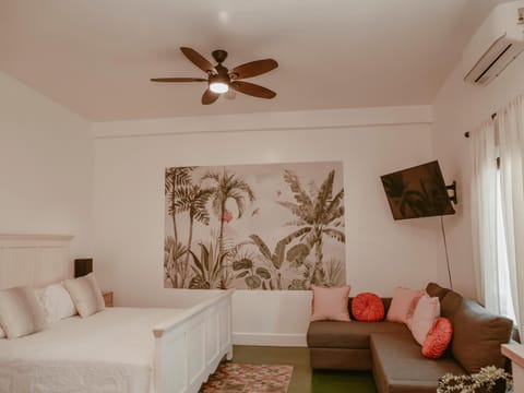 Bed, TV and multimedia, Living room, Seating area, Bedroom