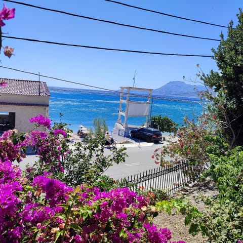 Natural landscape, Sea view