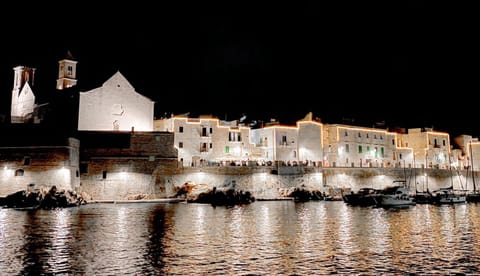 Nearby landmark, Night, Natural landscape, Activities, City view, Landmark view, Sea view, Location