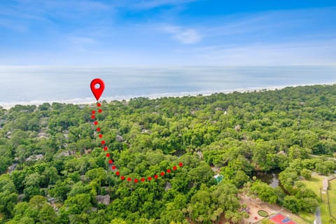 49 Night Heron House in Hilton Head Island