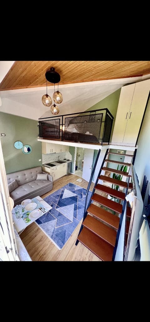 Alvin House Villa in Montenegro