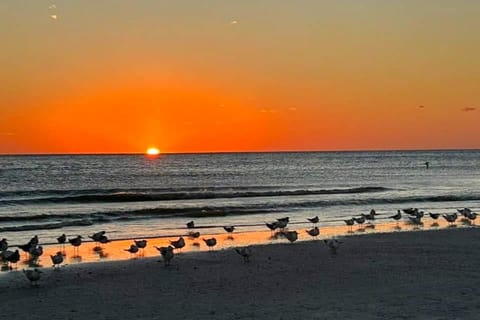 Sweet Beach Retreat Apartment in Siesta Beach
