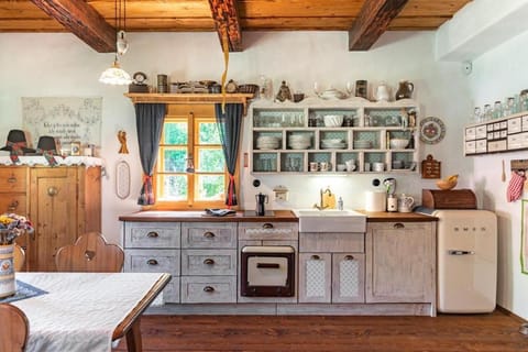 Kitchen or kitchenette, kitchen