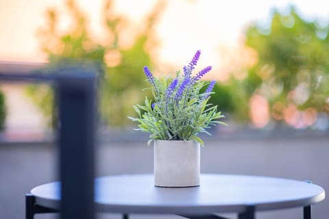 Happy House Old Town Luxury Apartment in Sarajevo