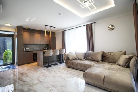 TV and multimedia, Kitchen or kitchenette, Living room, Seating area