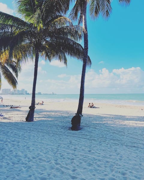 Property building, Nearby landmark, Day, Beach