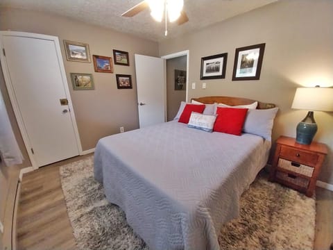 Valley Condo 106 - Creekside - WiFi - Hot Tub - Fireplace - Washer - Dryer - Playground House in Red River